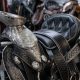 Saddles in Germany: High-Quality Options for Every Rider